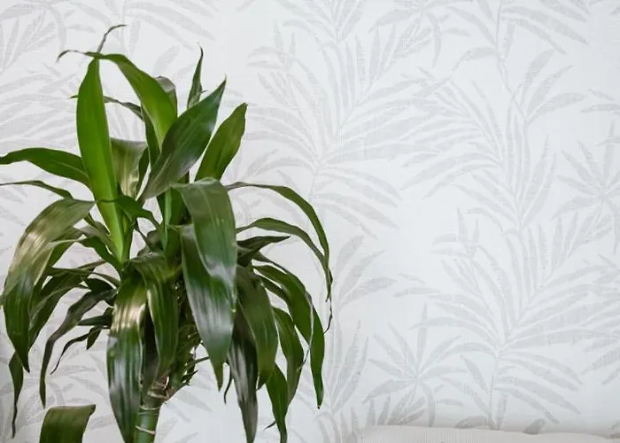 Zante Sun Hotell Agios Sostis (Zakynthos)